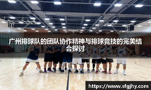 广州排球队的团队协作精神与排球竞技的完美结合探讨